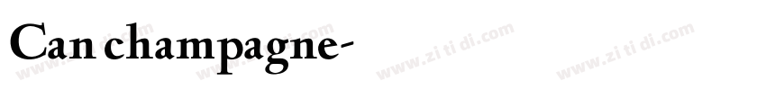 Can champagne字体转换